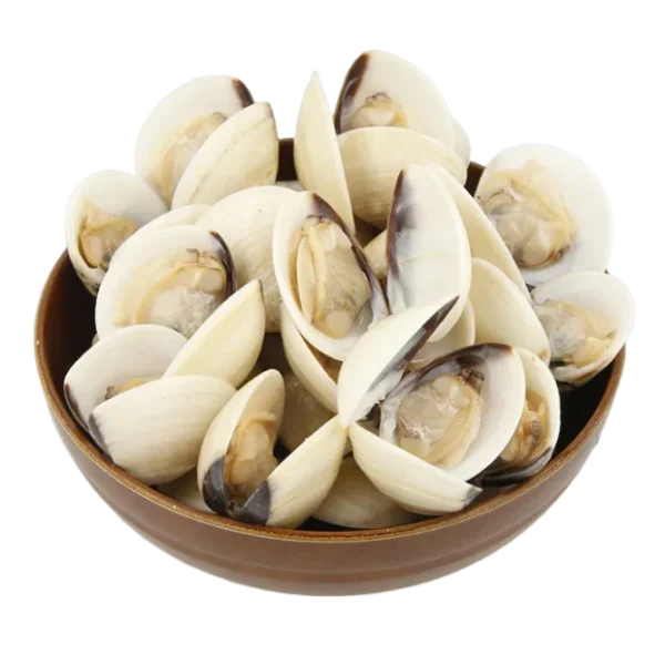 Frozen White Clam | Kapah